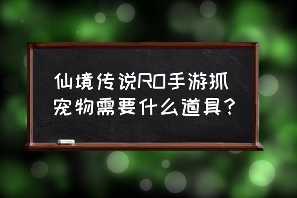 小野猪去哪抓仙境传说 仙境传说RO手游抓宠物需要什么道具？