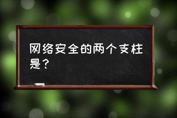 什么是网络安全支撑 网络安全的两个支柱是？