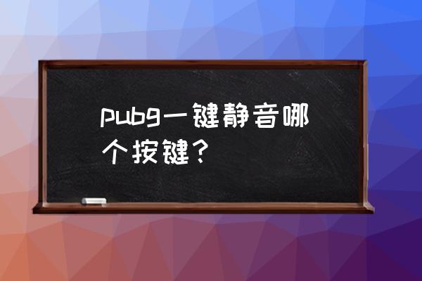 绝地求生静音模式怎么换 pubg一键静音哪个按键？