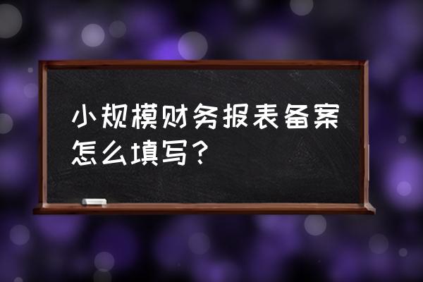 陕西省国财务报备案怎么填写 小规模财务报表备案怎么填写？