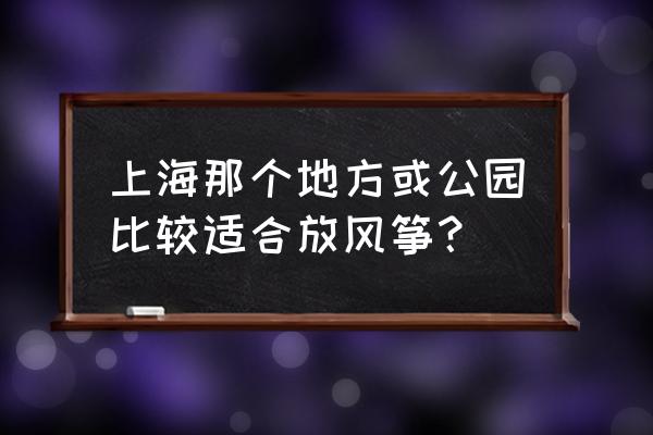 上海周浦哪里可以放风筝 上海那个地方或公园比较适合放风筝？