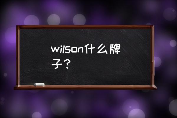 威尔胜网球鞋怎样 wilson什么牌子？