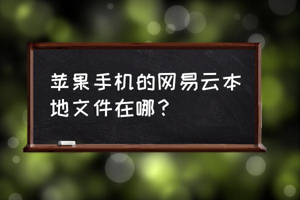 手机网易云两个存储位置选哪个 苹果手机的网易云本地文件在哪？