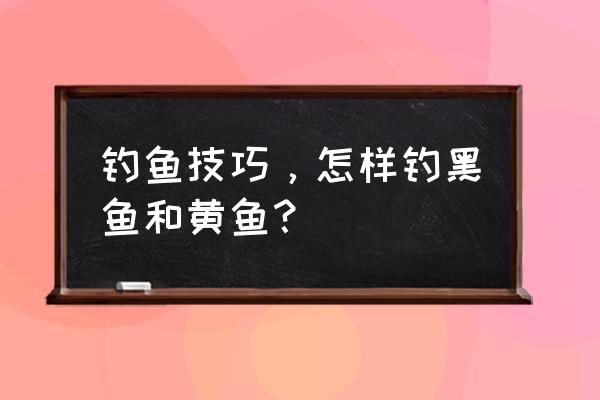 海边钓黄鱼黑鱼用什么鱼饵好 钓鱼技巧，怎样钓黑鱼和黄鱼？