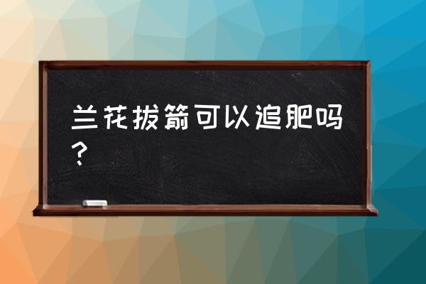 兰花剪掉花剑多久能施肥 兰花拔箭可以追肥吗？