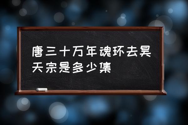 老头前期刷魂环的好地方 唐三十万年魂环去昊天宗是多少集