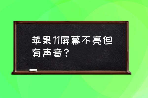 苹果手机灯光突然不亮了 苹果11屏幕不亮但有声音？