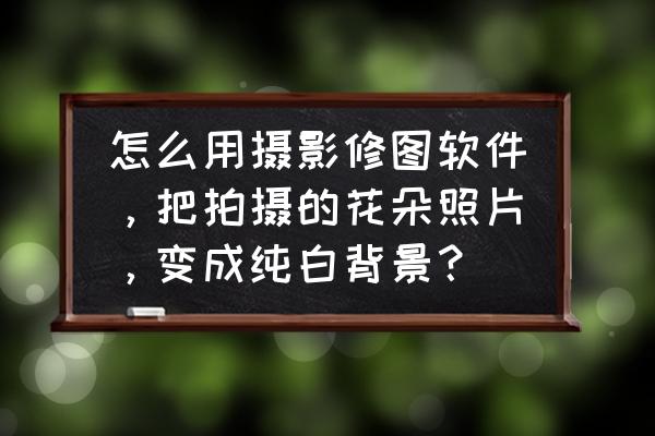 如何修改微信群聊背景图 怎么用摄影修图软件，把拍摄的花朵照片，变成纯白背景？