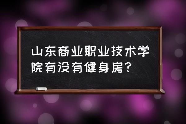 学校的体育馆有哪些器材 山东商业职业技术学院有没有健身房？