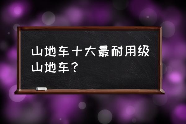 正规山地自行车比赛 山地车十大最耐用级山地车？