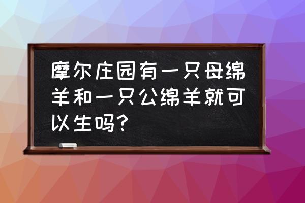 摩尔庄园手游萤火草在哪里 摩尔庄园有一只母绵羊和一只公绵羊就可以生吗？