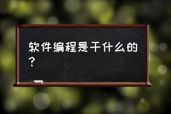 阿呆绘画教程 软件编程是干什么的？