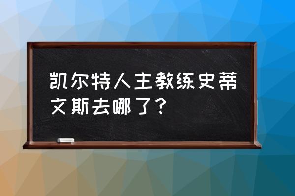 凯尔特人史蒂文斯去哪了 凯尔特人主教练史蒂文斯去哪了？