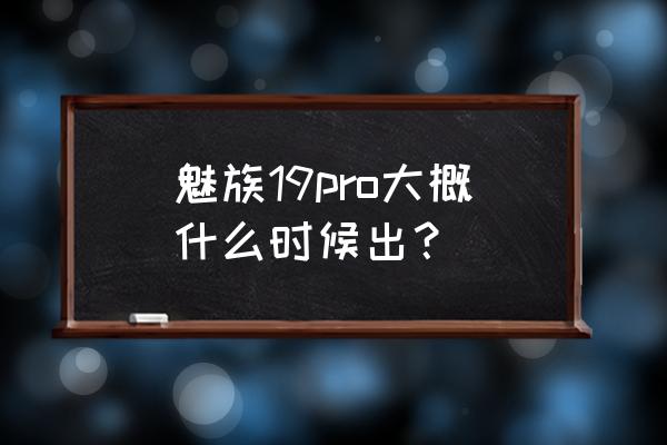 魅族手机有双手模式吗 魅族19pro大概什么时候出？