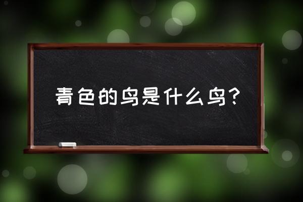 石燕鸟捕捉技巧 青色的鸟是什么鸟？