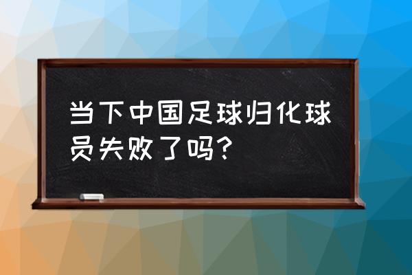 纯洁体育最新密码 当下中国足球归化球员失败了吗？
