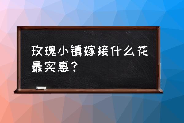 玫瑰小镇嫁接彼岸稀世玫瑰 玫瑰小镇嫁接什么花最实惠？