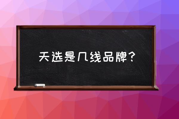 次元姬小说app存储路径是什么样的 天选是几线品牌？