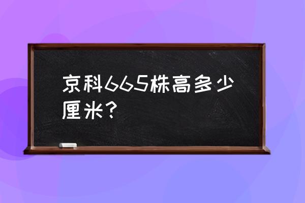 为什么me665比me294贵 京科665株高多少厘米？