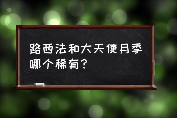 魔法花园怎么得紫色英雄 路西法和大天使月季哪个稀有？