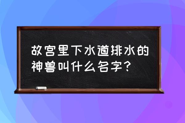 神武4头像多少钱 故宫里下水道排水的神兽叫什么名字？