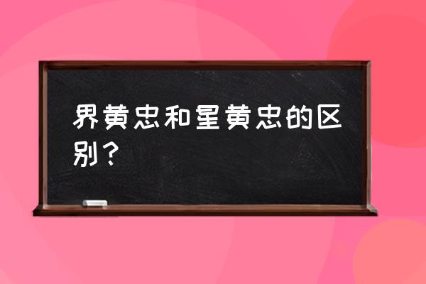 王者荣耀黄忠最初版本的技能 界黄忠和星黄忠的区别？