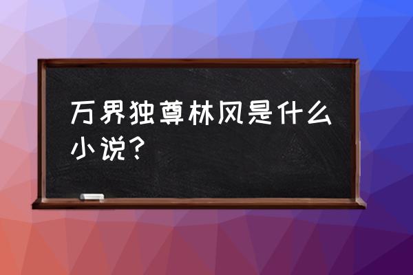 万界独尊梦千秋小说版哪里可以看 万界独尊林风是什么小说？