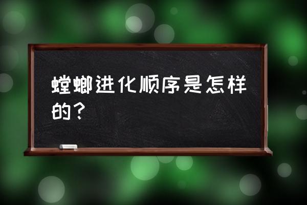 卡兹克升级技能顺序 螳螂进化顺序是怎样的？