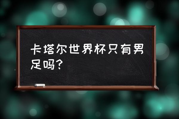 卡塔尔世界杯哪几个国家进入四强 卡塔尔世界杯只有男足吗？