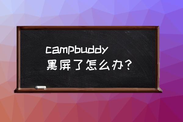 campbuddy分支剧情攻略 campbuddy黑屏了怎么办？