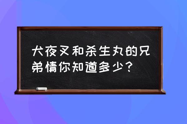 高桥留美子对犬夜叉的评价 犬夜叉和杀生丸的兄弟情你知道多少？