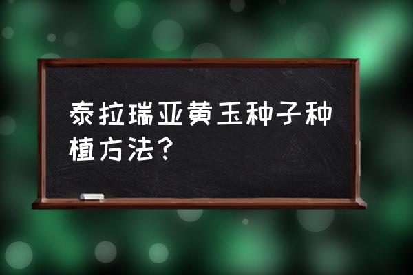 泰拉瑞亚黄玉在哪儿 泰拉瑞亚黄玉种子种植方法？