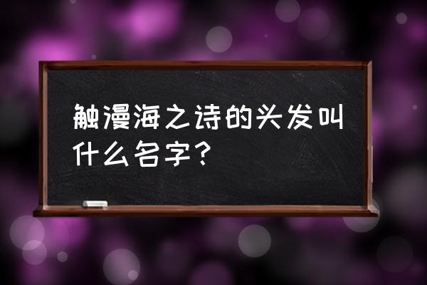 触漫怎样设置自己的名称 触漫海之诗的头发叫什么名字？