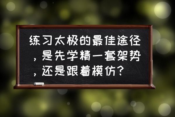 普通人如何快速学会太极 练习太极的最佳途径，是先学精一套架势，还是跟着模仿？