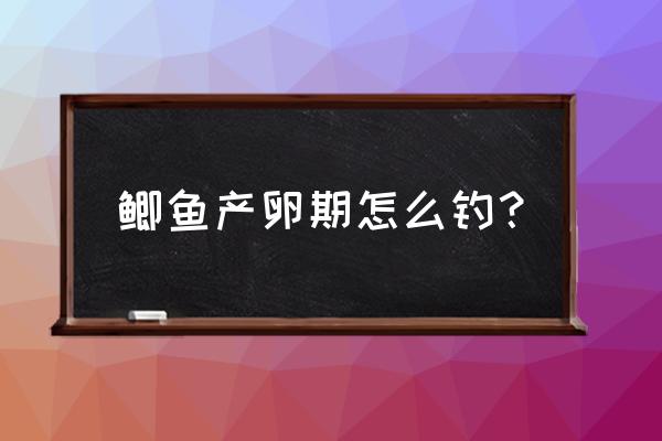 鲫鱼在岸边产卵怎么钓 鲫鱼产卵期怎么钓？