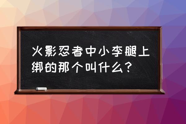 忍者天下忍术攻略 火影忍者中小李腿上绑的那个叫什么？