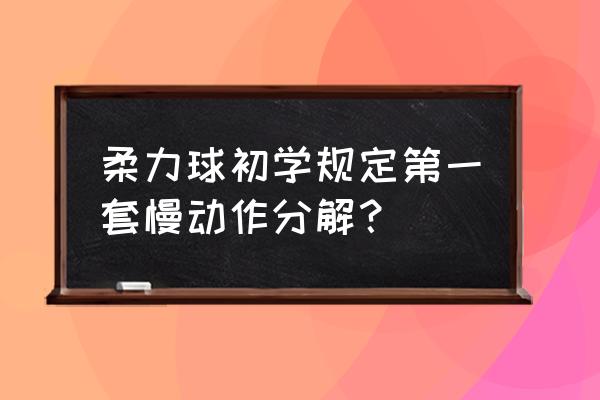 马步手法慢动作 柔力球初学规定第一套慢动作分解？