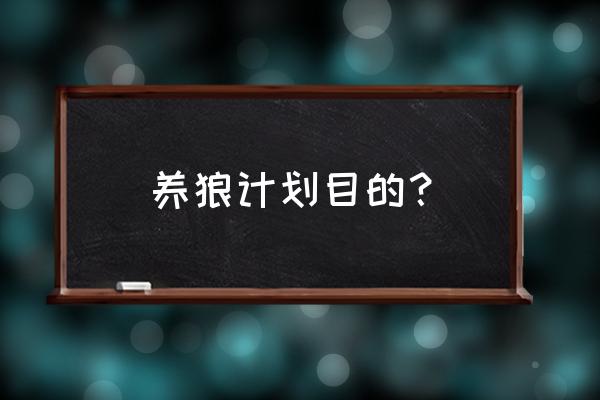 乒乓球阶段训练计划书 养狼计划目的？