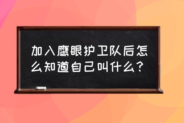 鹰眼护卫队怎么进入别人的对局 加入鹰眼护卫队后怎么知道自己叫什么？