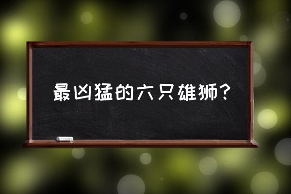 艾尔之光最好的称号 最凶猛的六只雄狮？