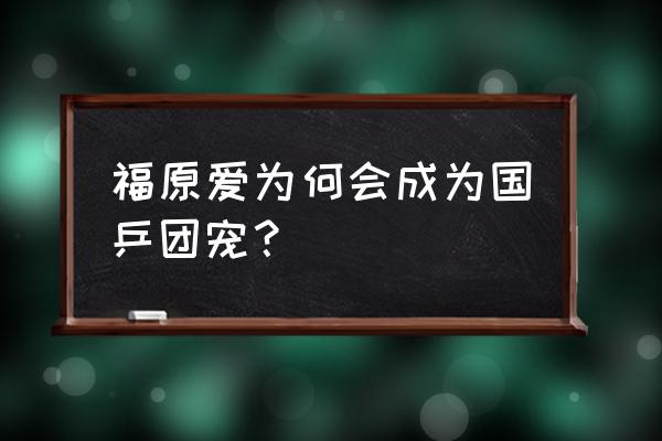 中国人有多喜欢福原爱 福原爱为何会成为国乒团宠？