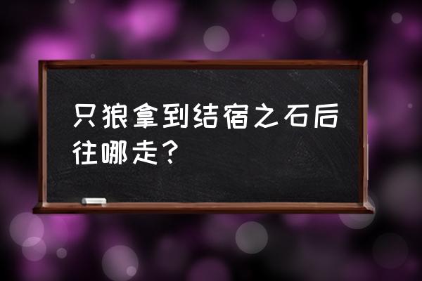 只狼地牢全攻略 只狼拿到结宿之石后往哪走？