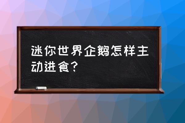 迷你世界里的企鹅怎么才能驯服它 迷你世界企鹅怎样主动进食？