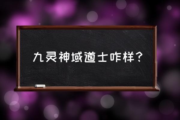 九灵神域下载方式 九灵神域道士咋样？