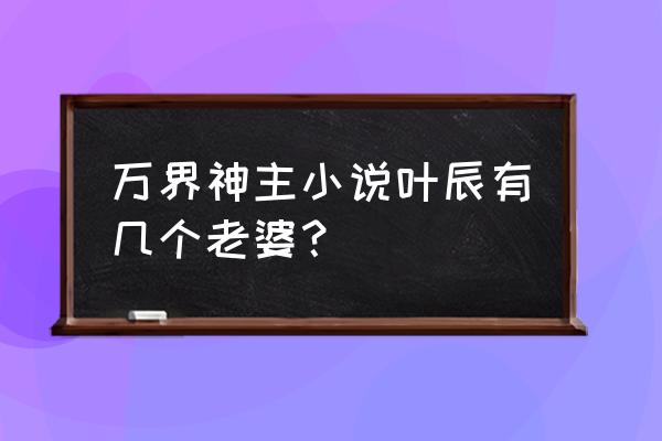 万界神主里的叶辰最后有几个老婆 万界神主小说叶辰有几个老婆？