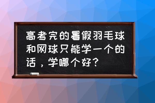 羽毛球减肥好还是网球减肥好 高考完的暑假羽毛球和网球只能学一个的话，学哪个好？