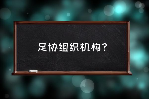 体育培训会员管理系统 足协组织机构？