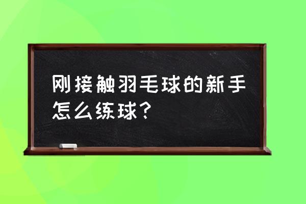 羽毛球拍新手教程 刚接触羽毛球的新手怎么练球？