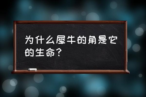 犀牛怎么由线生成面 为什么犀牛的角是它的生命？