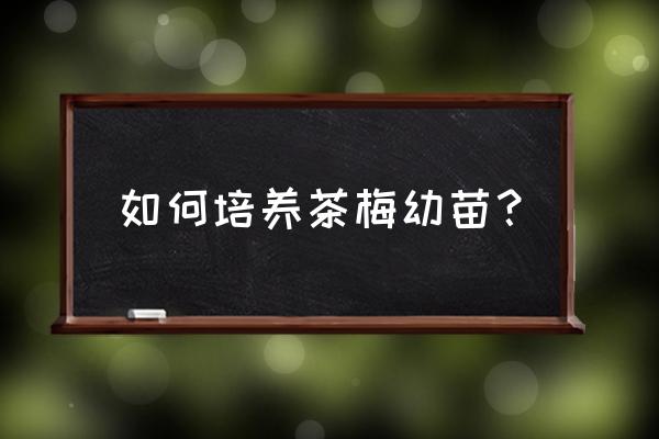 粘土教程天使和恶魔 如何培养茶梅幼苗？